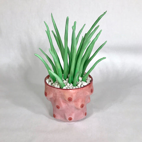 Shona McAndrew, "Boob Plant" SOLD