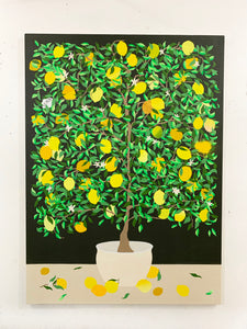 Stephen D'Onofrio, "Lemon Tree"