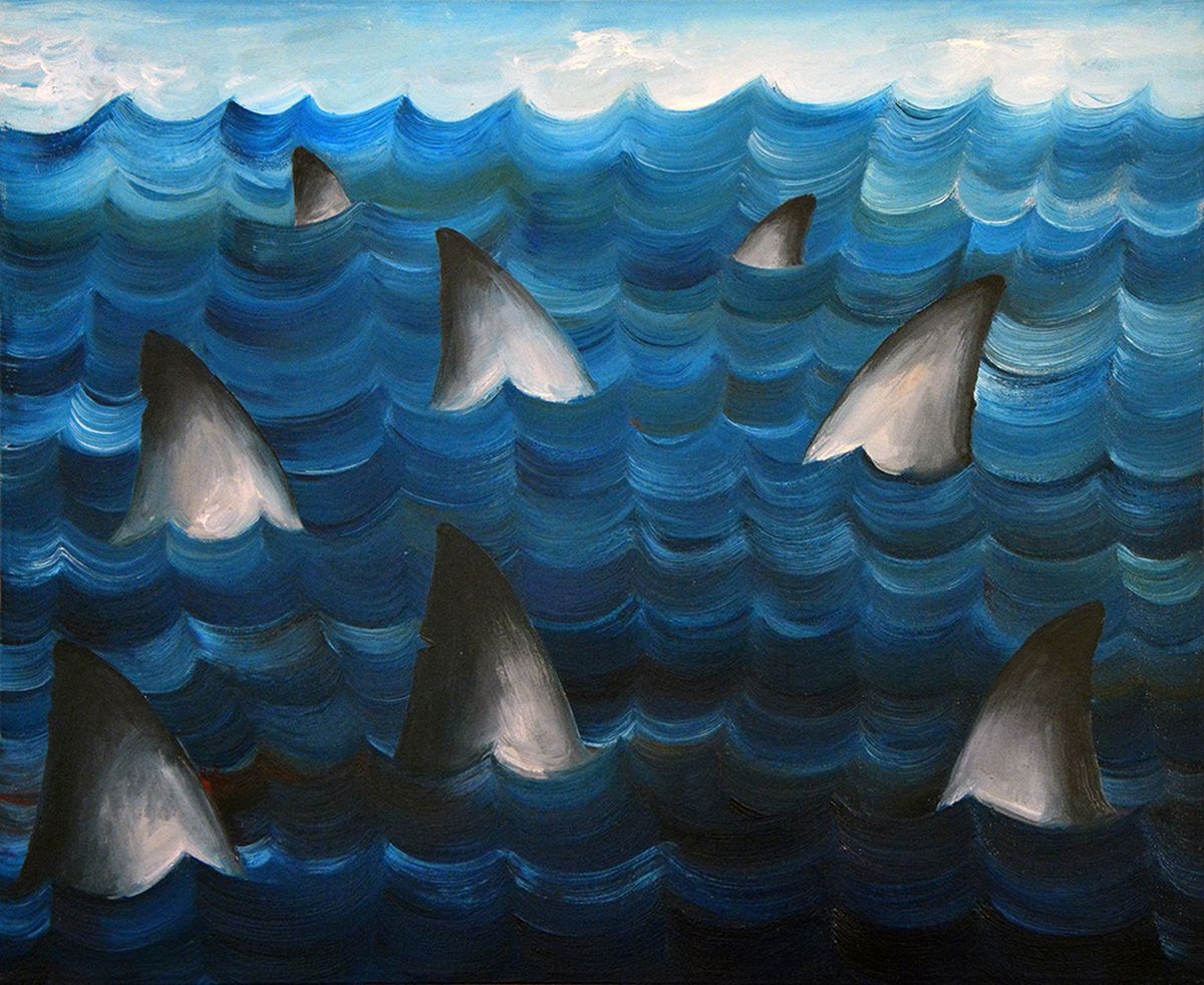 Alexandra Evans, "Shark Attack"