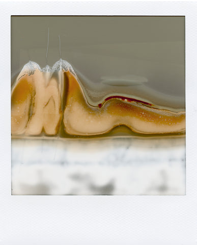 Rebecca Hackemann, "Untitled 6 (from the Post Polaroids series)"