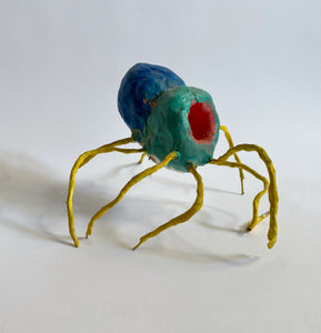 Matthew Freedman, "Cyclops Spider"