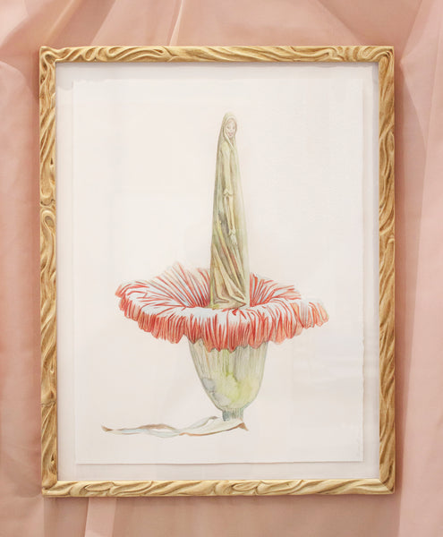 Alina Bliumis, "Endangered Corpse Flower"