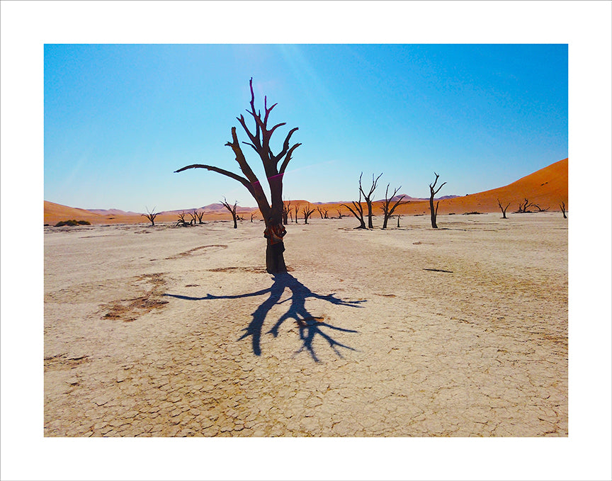 Lino Meoli, "Drought in Namibia"