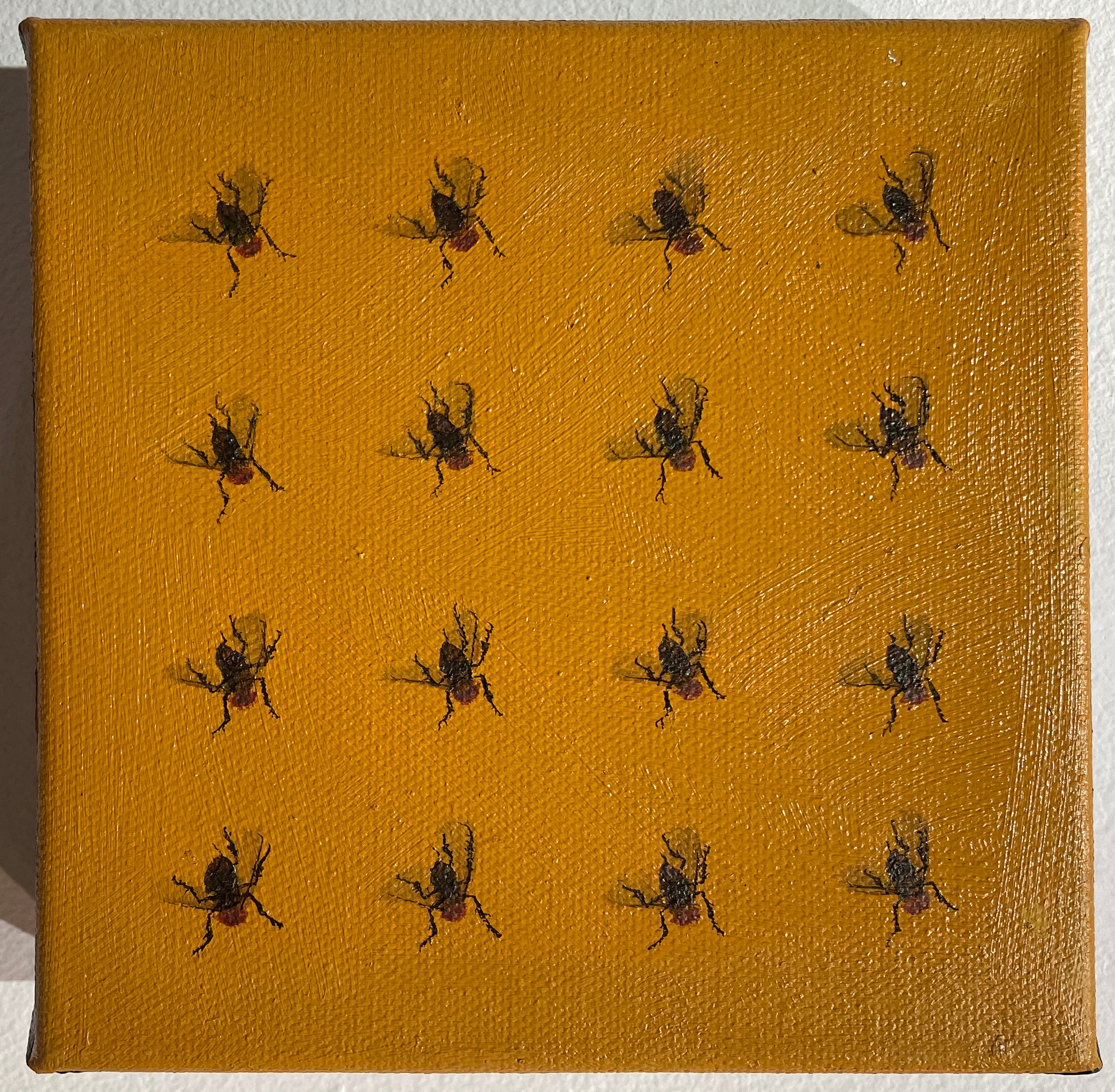 Mia Hause, "Flies (2)"