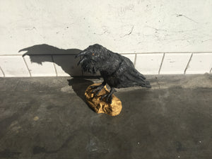 Henry Vincent, "Gold Nugget Raven"