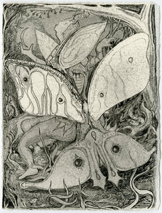 Max Razdow, "Moth Allegory 3"