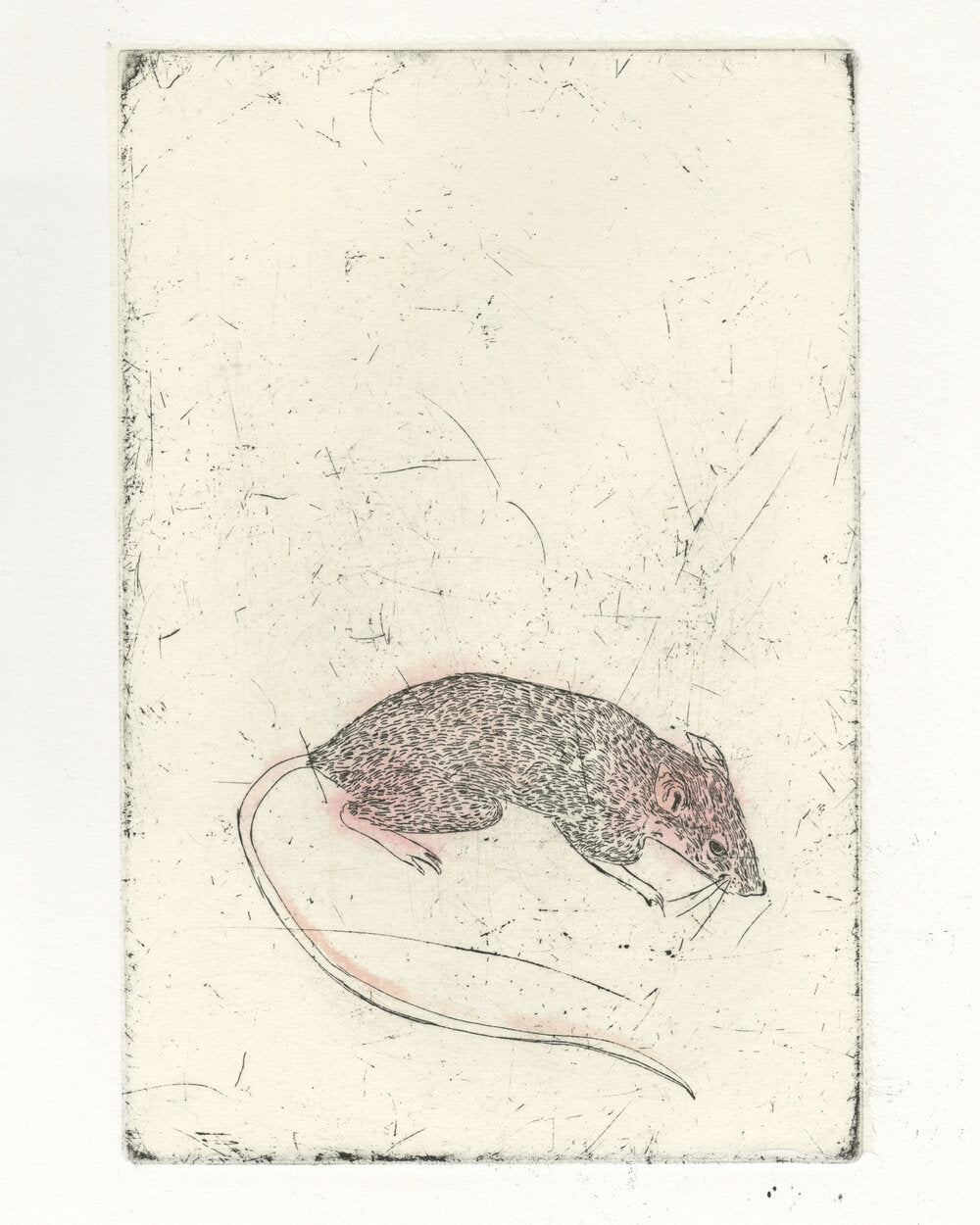 Magdalena Pawlowski, "Mouse"