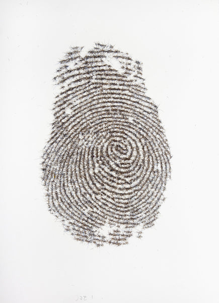 Maciej Toporowicz, Fingerprints Series