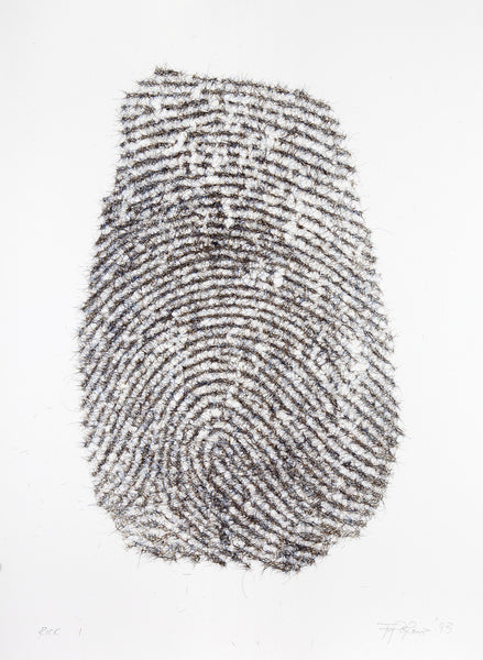 Maciej Toporowicz, Fingerprints Series