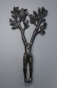 Camilla Taylor, "Laurel Tree"