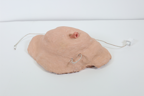 Laura Tiffin, "Flaccid Amid Nose and Paste"