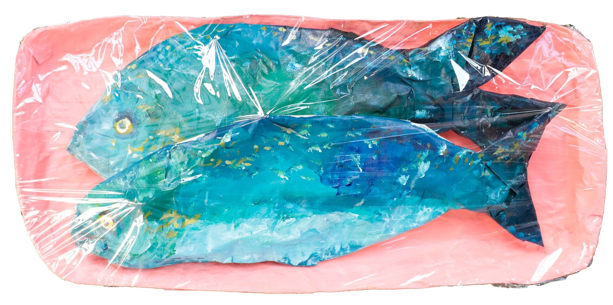 Taylor Lee Nicholson, "Mystery Fish in Cling Wrap" SOLD