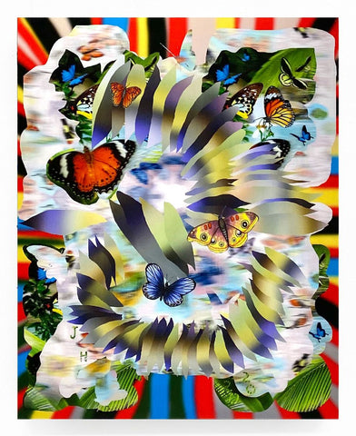 Jared Hoffman, "Butterflies"