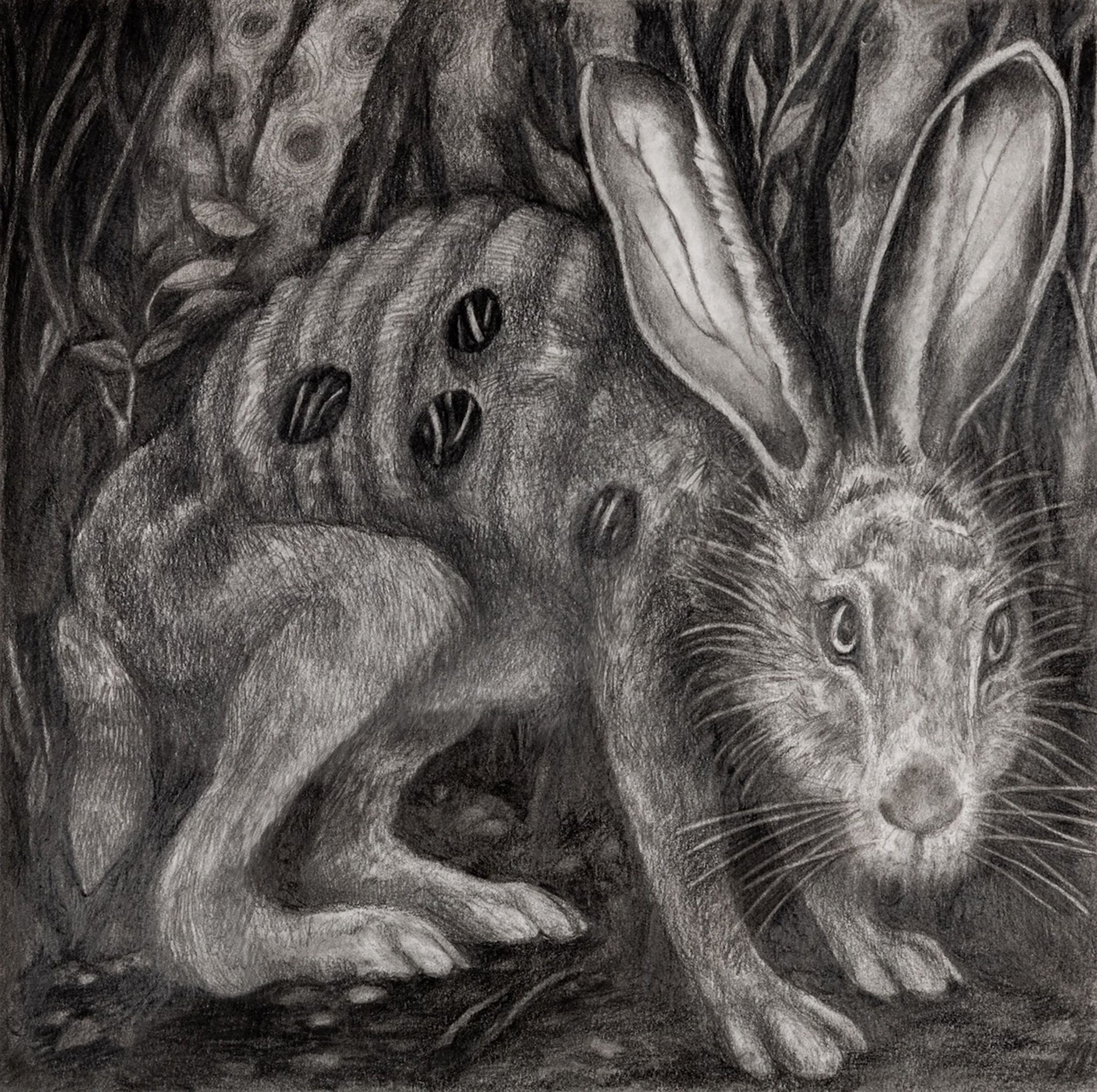 Lisette Chavez, "Undying Jack-Rabbit"