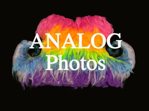Pearl Renken, "Mustache Ride Analog Photos"
