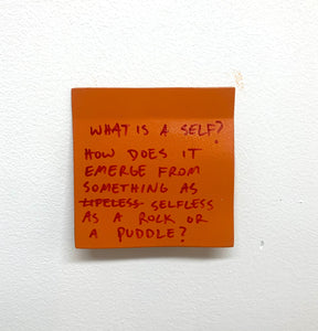 Stuart Lantry, "What is a Self?" SOLD