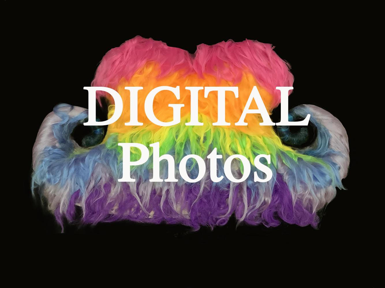 Pearl Renken, "Mustache Ride Digital Photos"