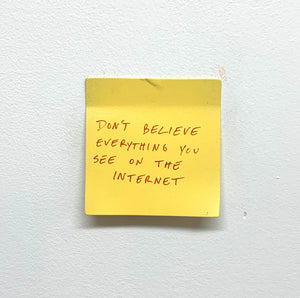 Stuart Lantry, "Don't believe everything you see on the internet"
