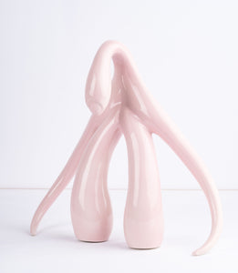 Sophia Wallace, "Light Pink Swan Series"