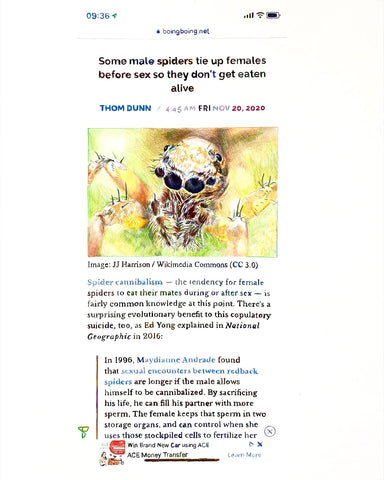 Max Rippon, "Don't get eaten alive"