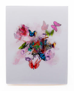 Jared Hoffman, "Seven Butterflies"