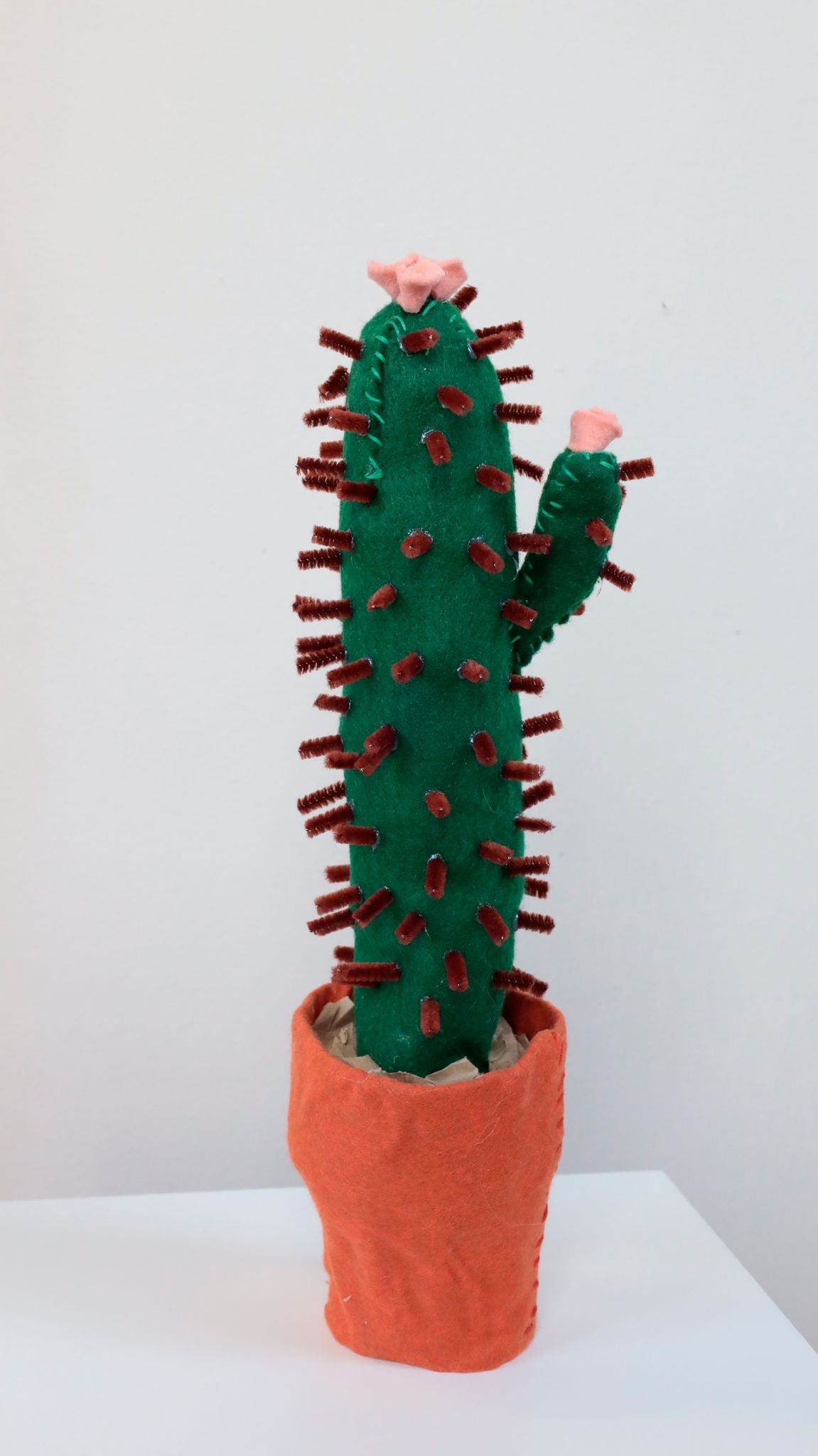 Taylor Lee Nicholson, "Cactus"